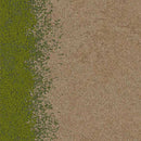 Example | Factory Direct Carpet Tiles