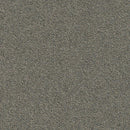 Example | Factory Direct Carpet Tiles